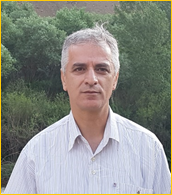 DrTavakoli.jpg